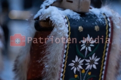patrioten_media_schwyz-064